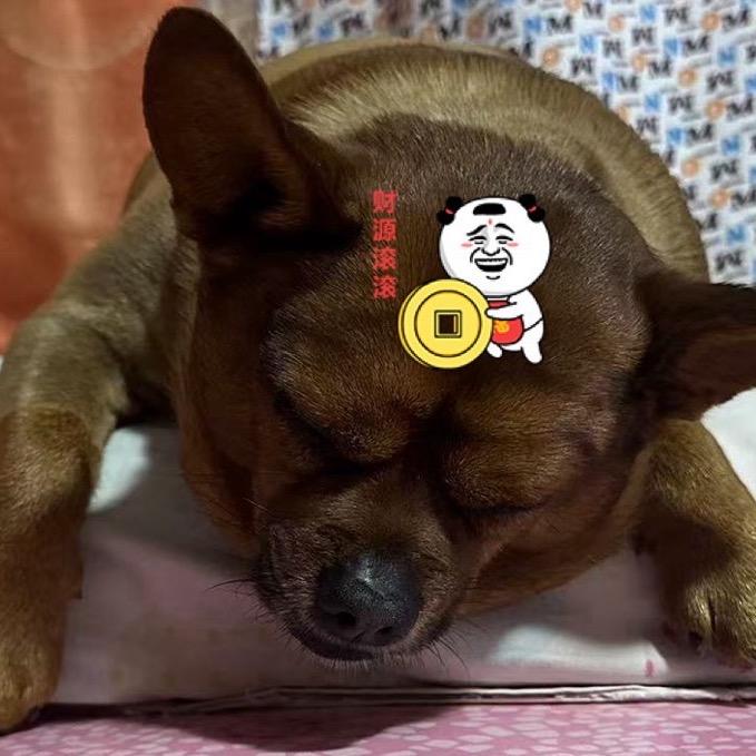 落尽繁华