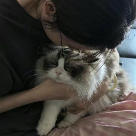 钱宝宝