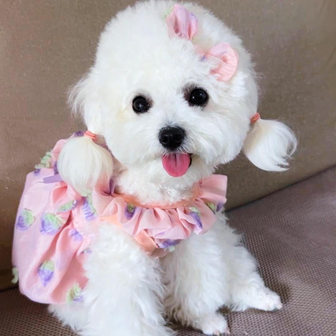 米米是个小甜妹💕