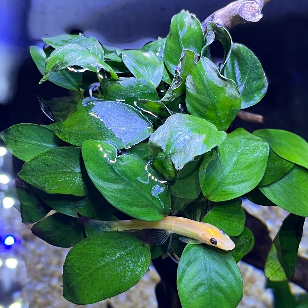 🌈🌈👨‍👩‍👧‍👦幸福的一家