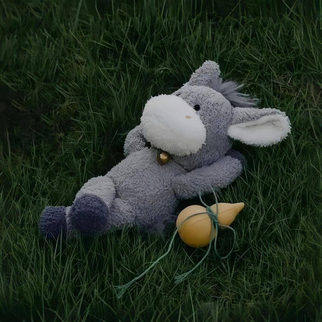 不听不听王八念经