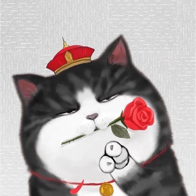 皇皇美妆