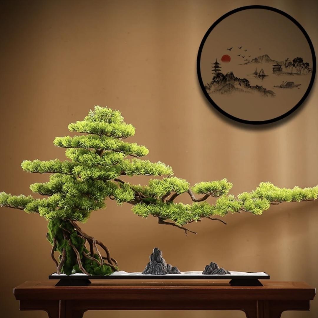 自然盆景之韵