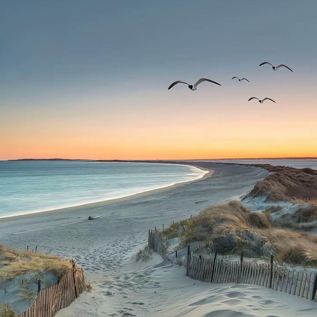 小T号商（世图）