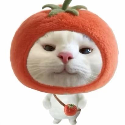 爱拉六须大鲶鱼