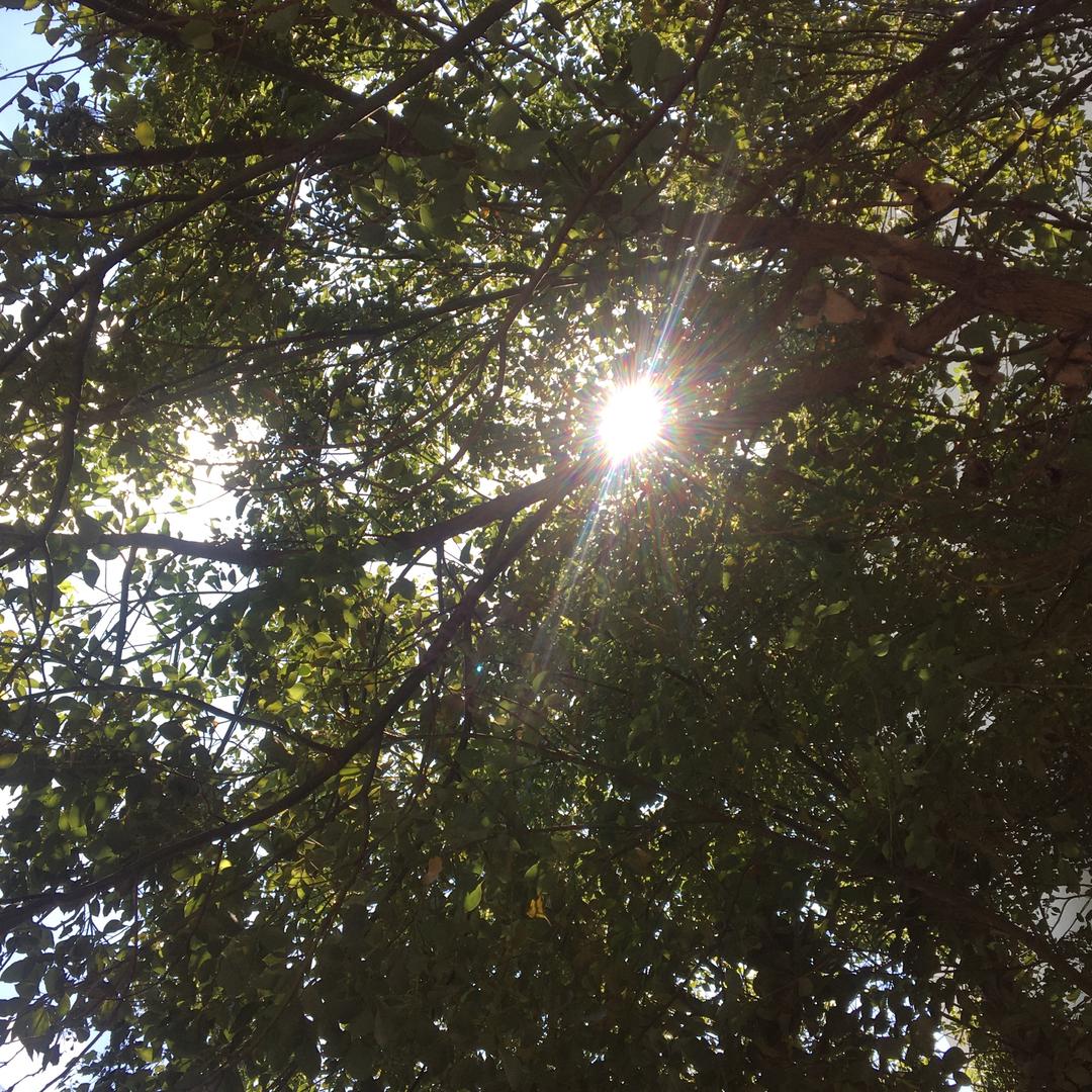 .Y💞
