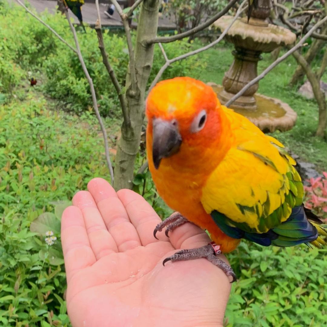 🌈*🌈拭目以待🍊