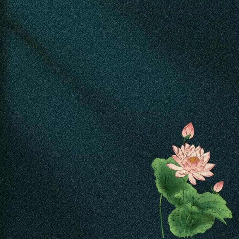 小胖帆帆的工作日记