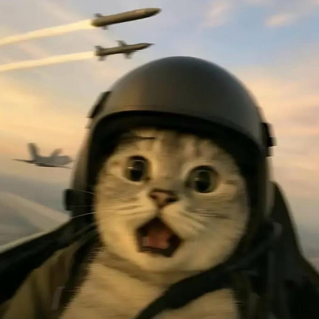 A建财二手车小徐 (卖车 收车)