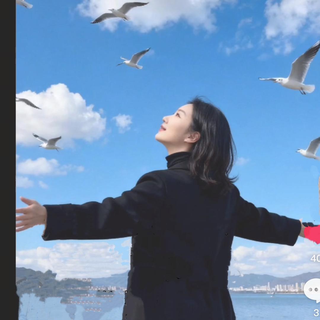 木子陈