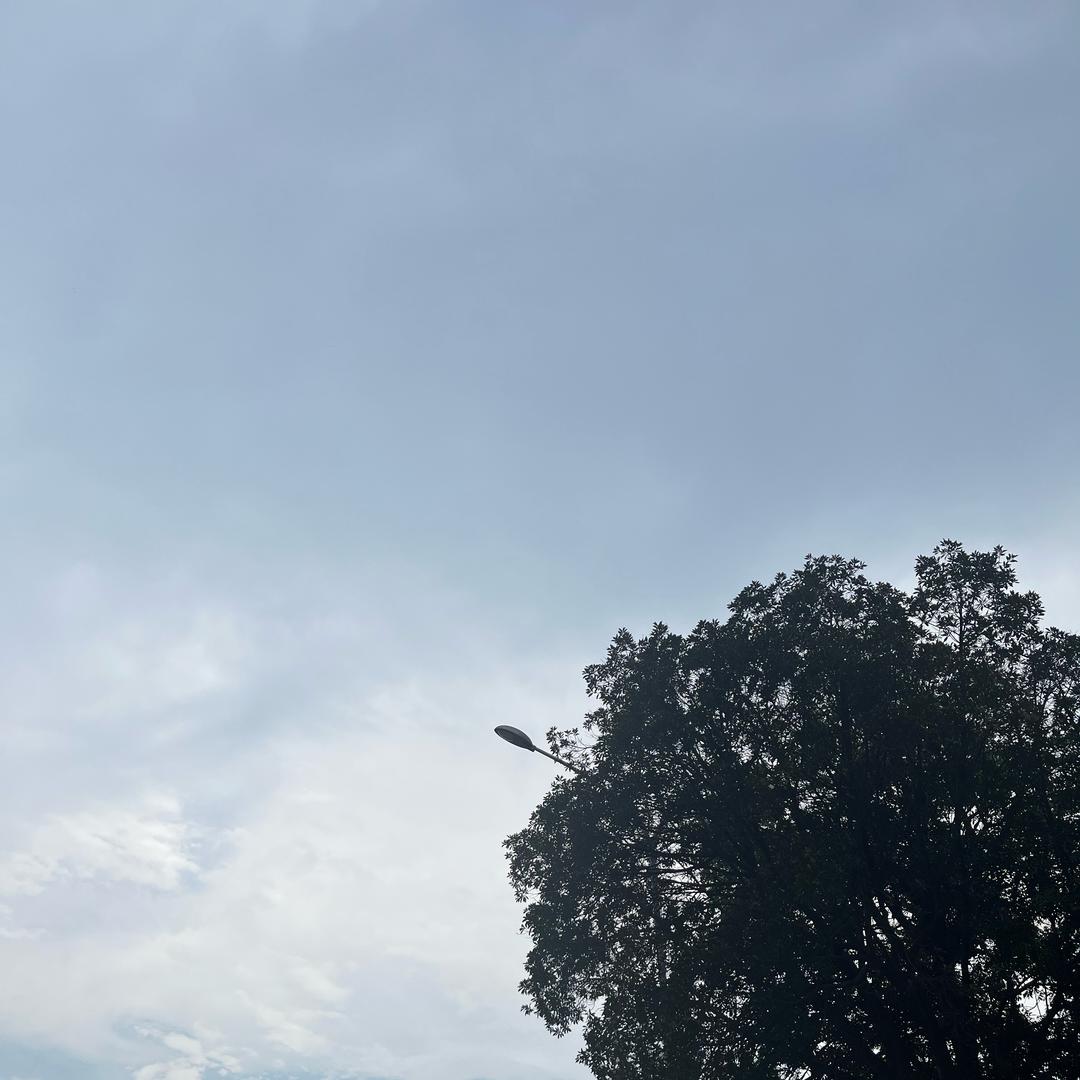 龙妹妹的猪哥哥