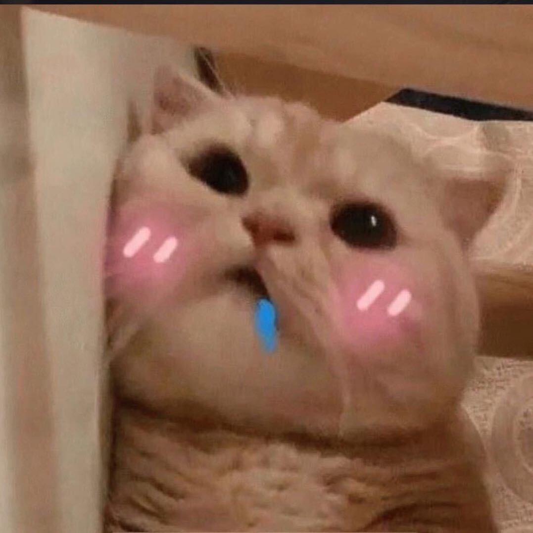 小熊