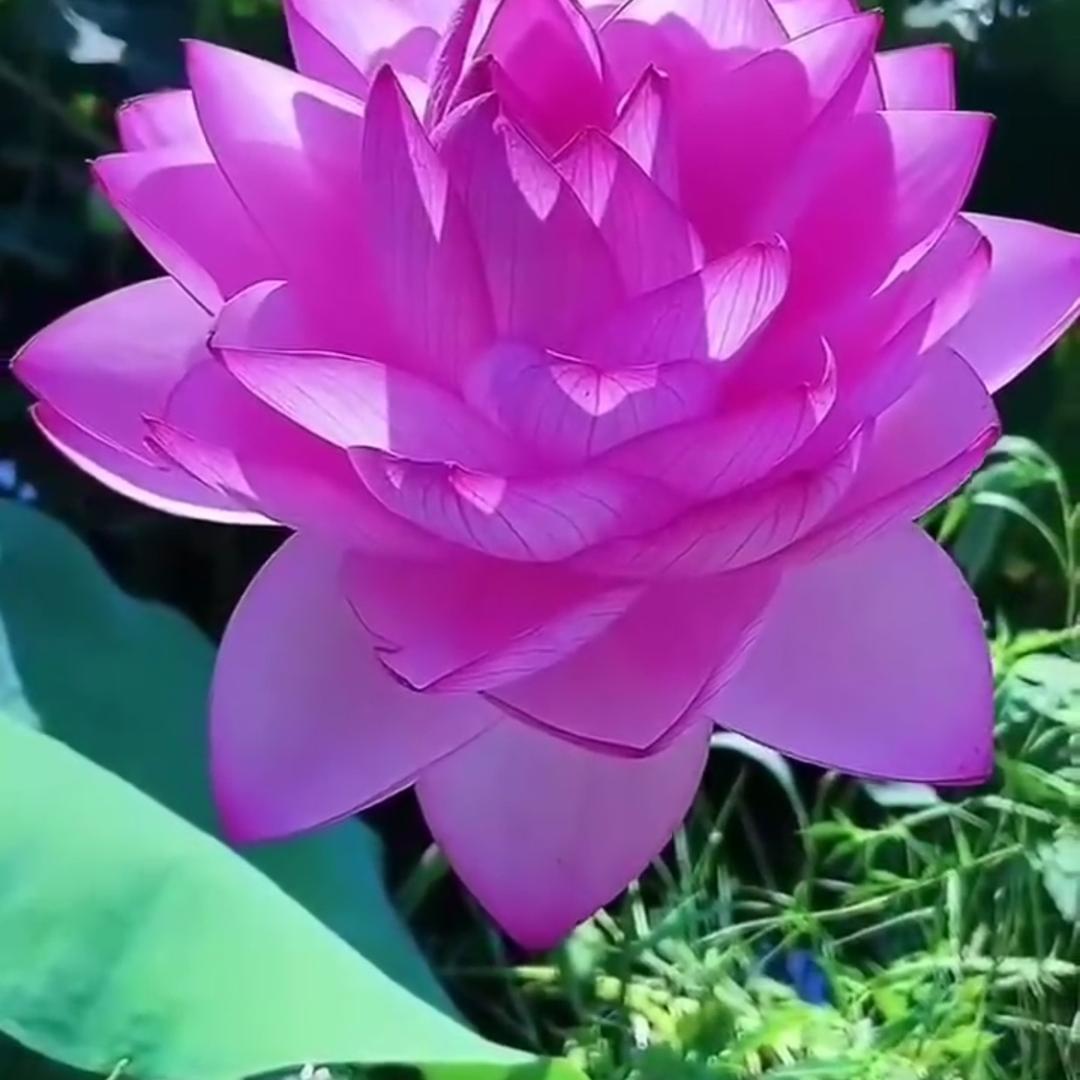 用户680127783056