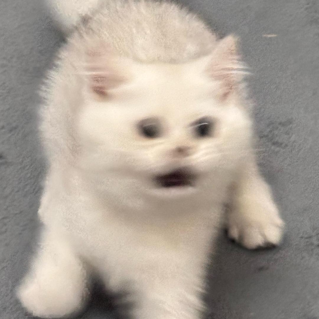 双层漢包