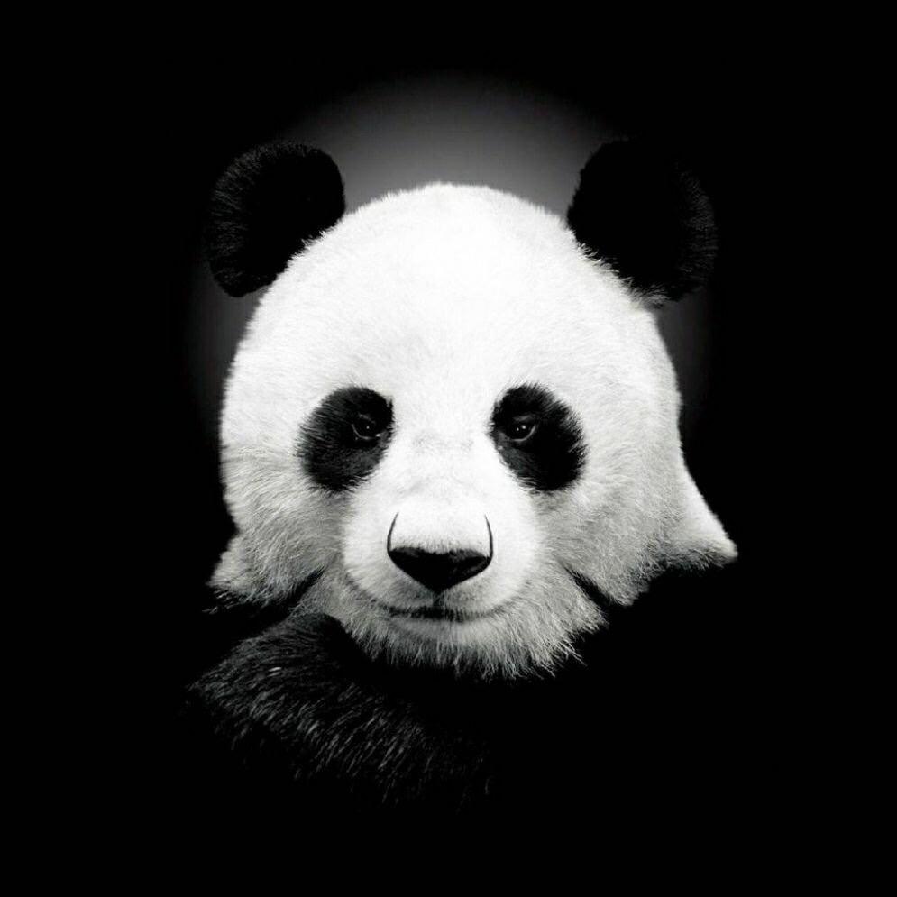 一手阿羊