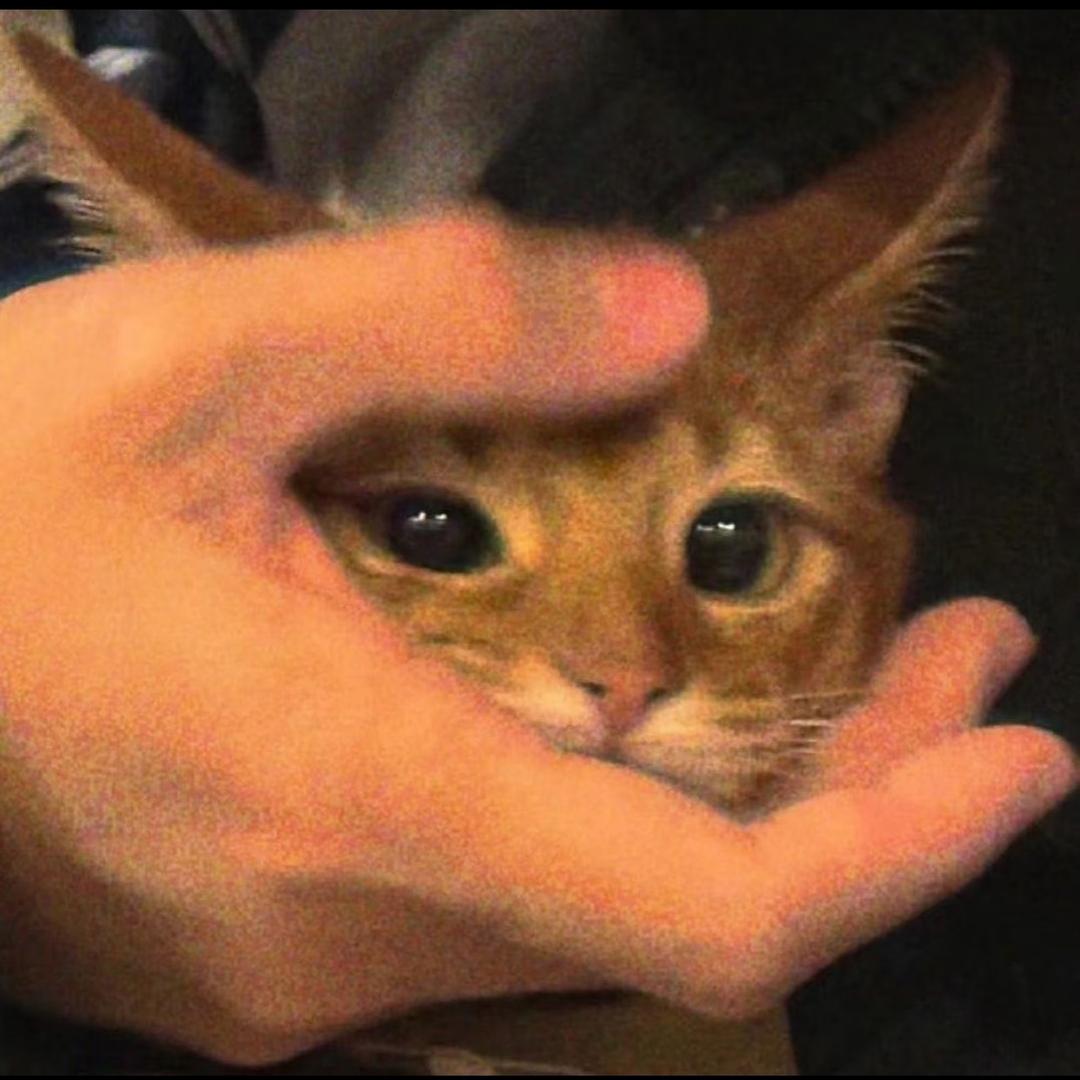 = =
