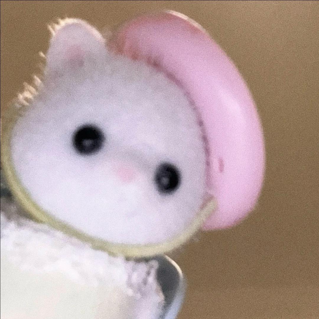 小卷bb