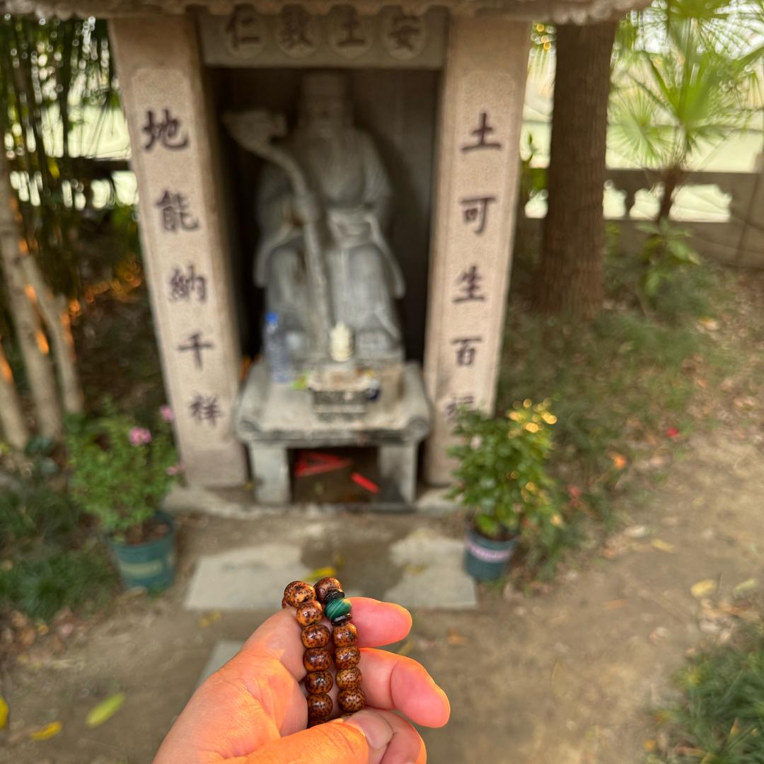 南城小哥