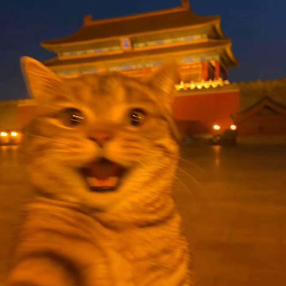 天黑黑