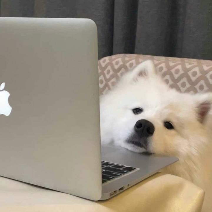 狂诗乱序