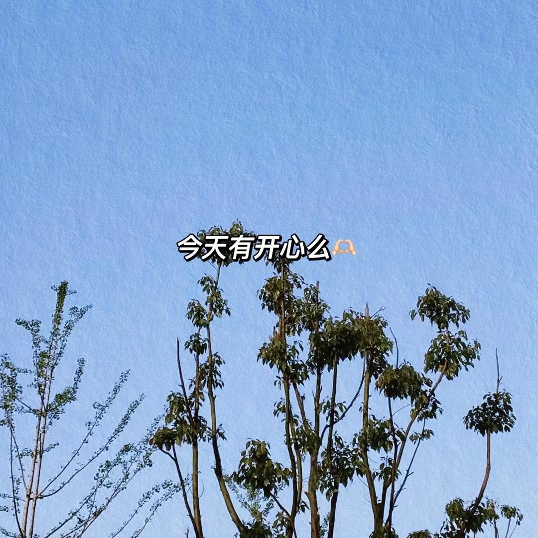 冰摇桃桃不加冰