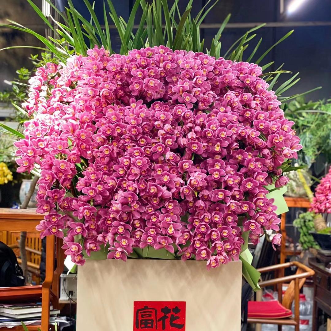 6688花卉