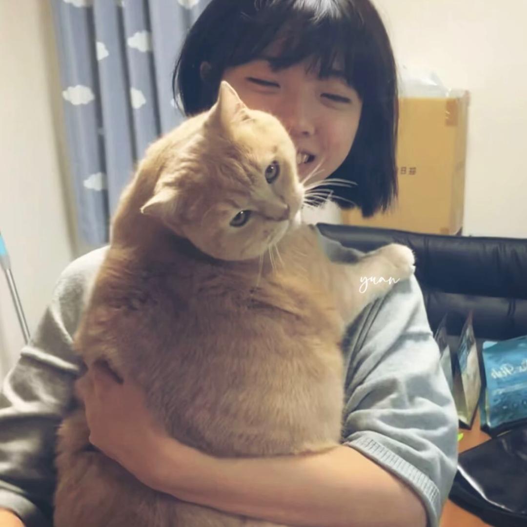 小满ㅤㅤㅤㅤㅤㅤ