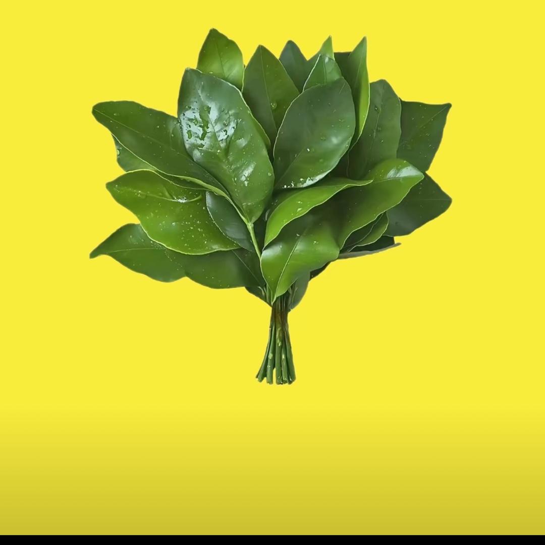 🌼奈一