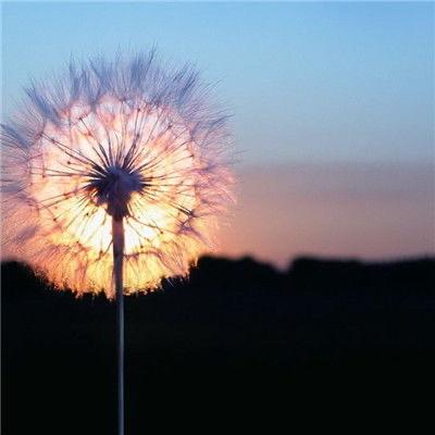 💕许愿上上上签💕