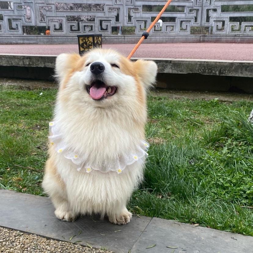萌萌哒哒