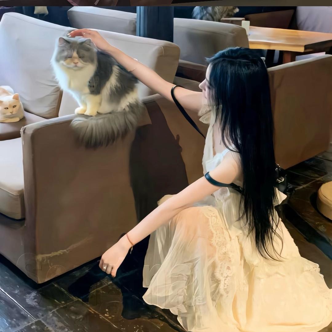 小粥吃不饱ʚᰔᩚɞ