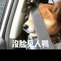 怕输么回家喊你妈炒碗鸡蛋饭给你吃吃