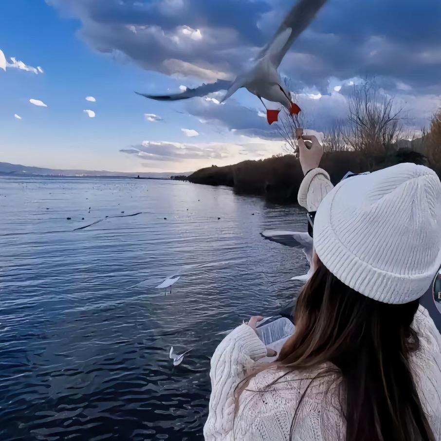 蛇年年货红包🧧