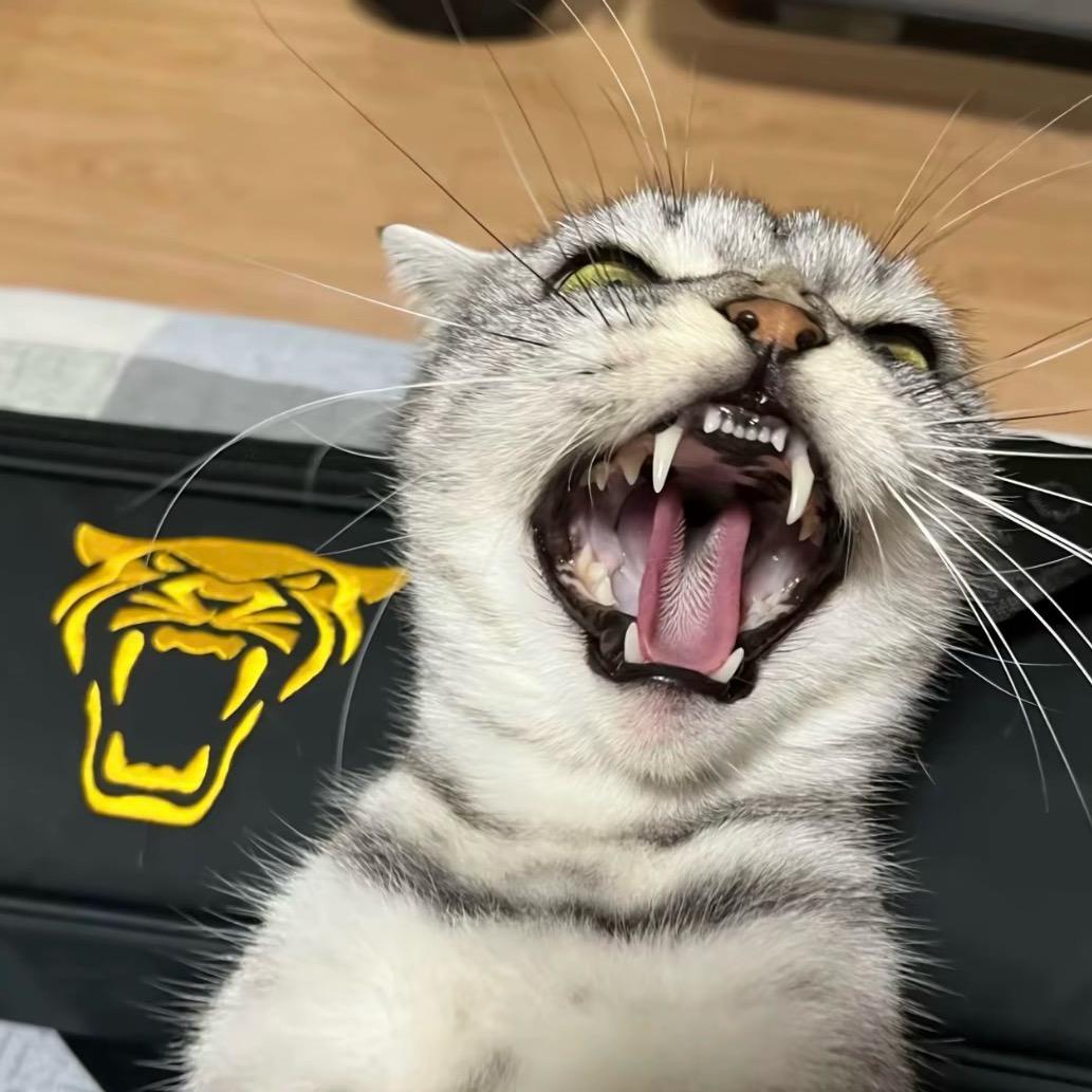 DG三角洲（哈佛币商）