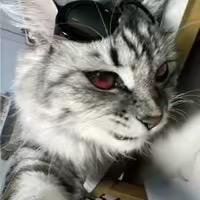 看不懂你的心