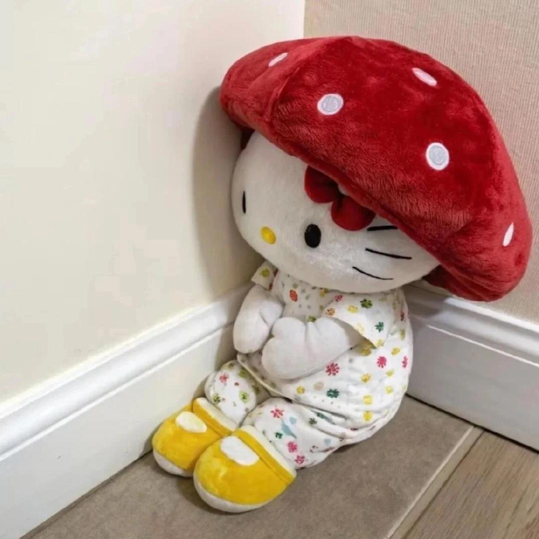 周五了吗･ᴗ･꧞