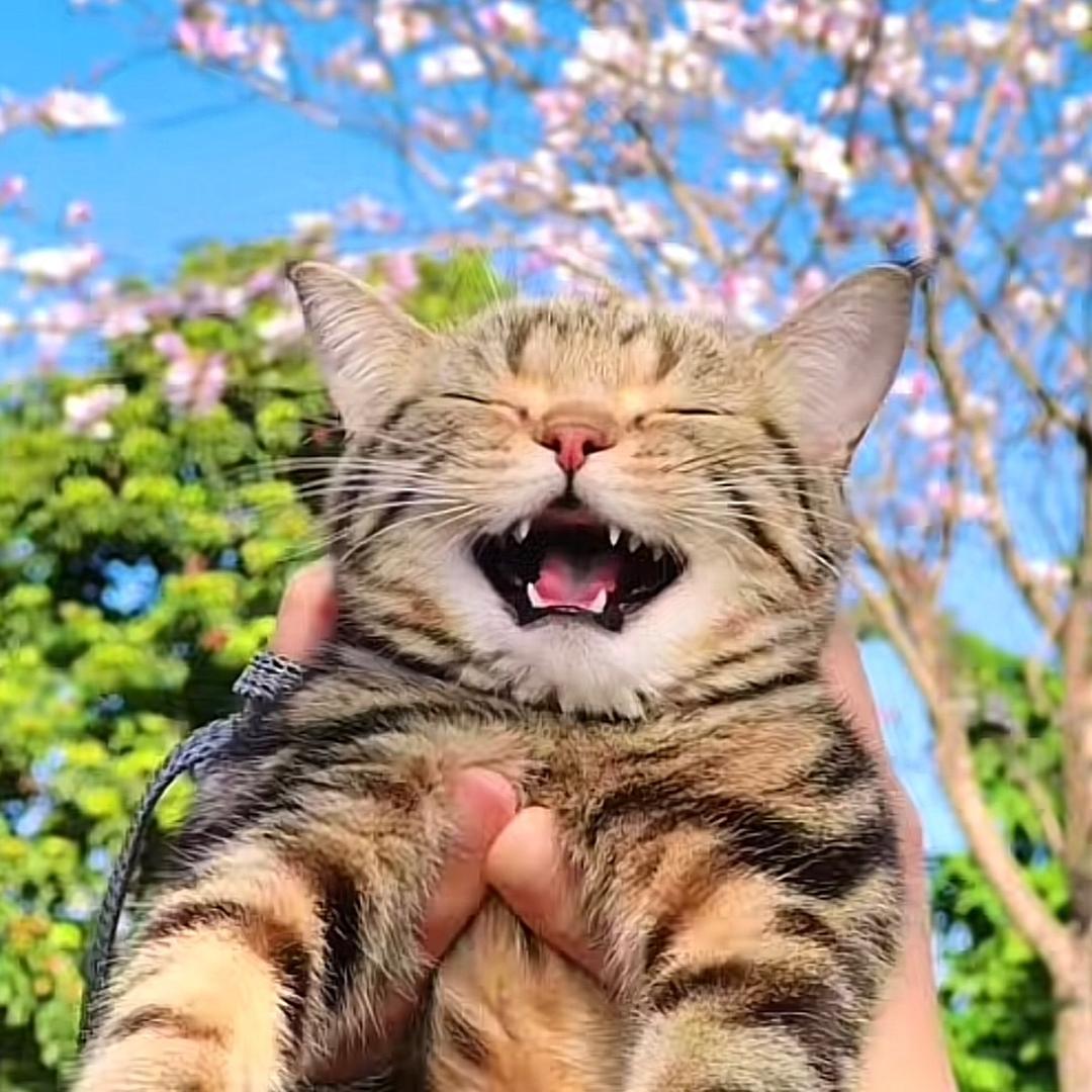 𝓛𝓸𝓿𝓮.忽晚🍡