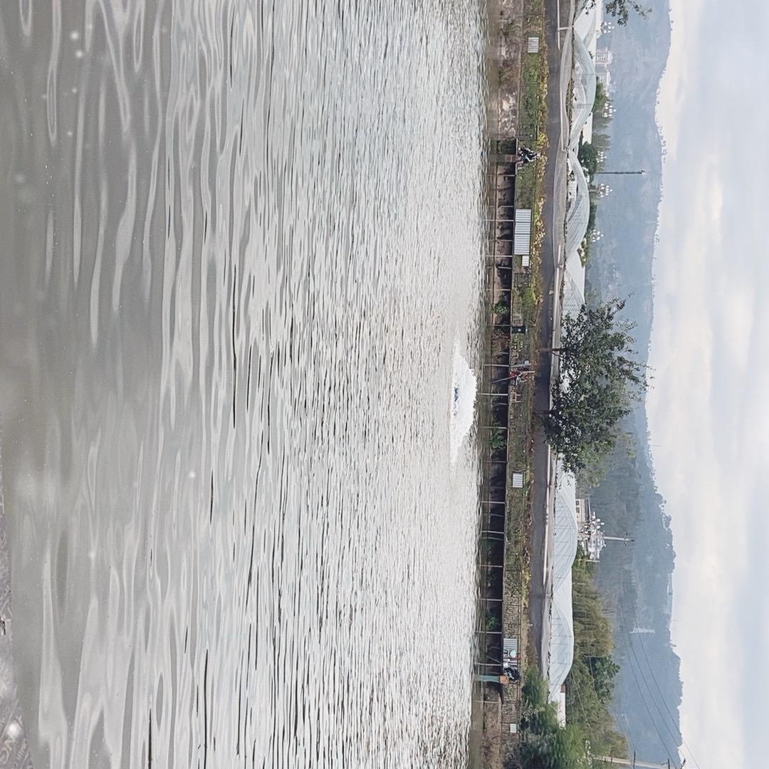 川兴白火石垂钓园