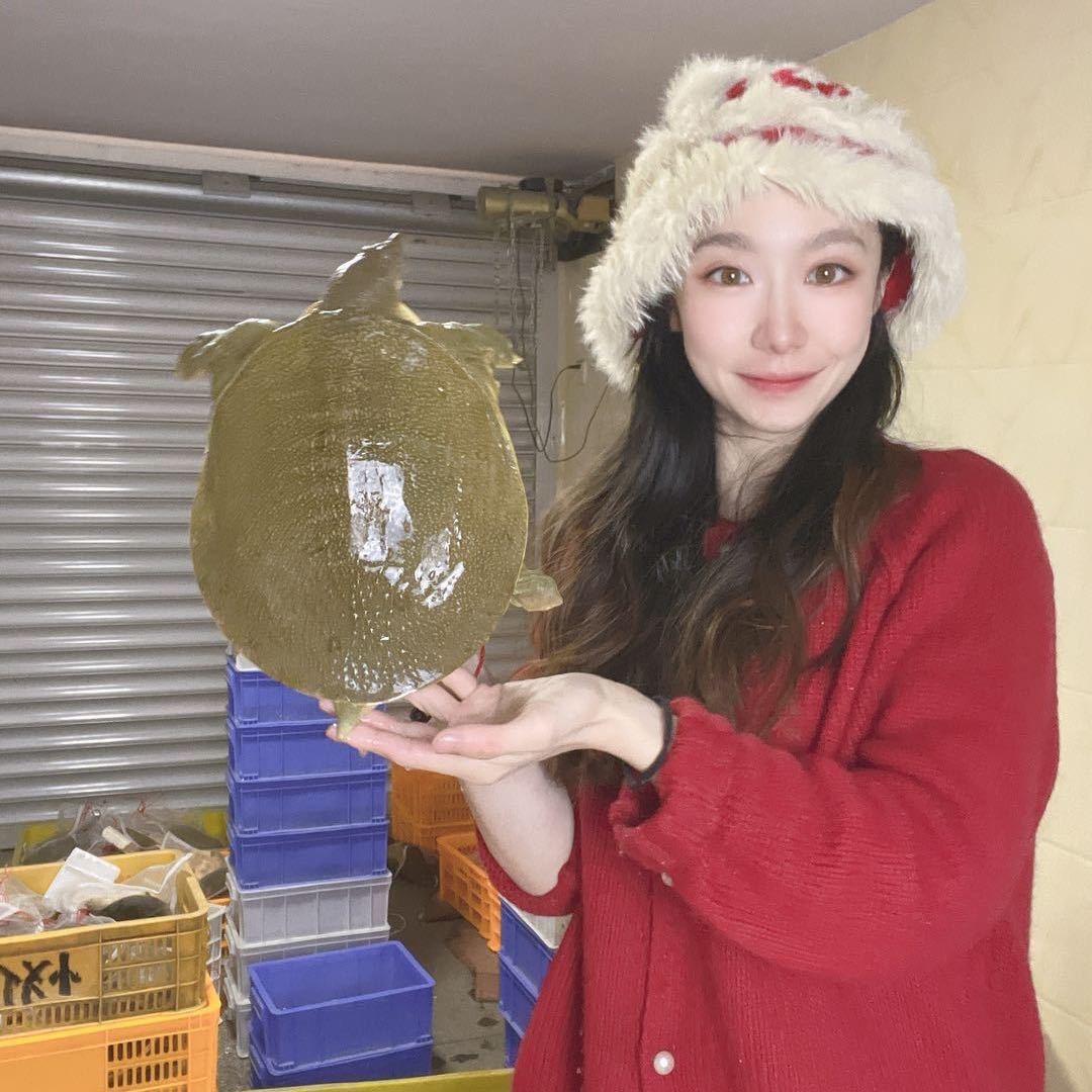 甲鱼小红帽
