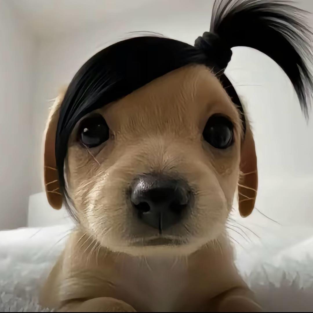 赤恩陈