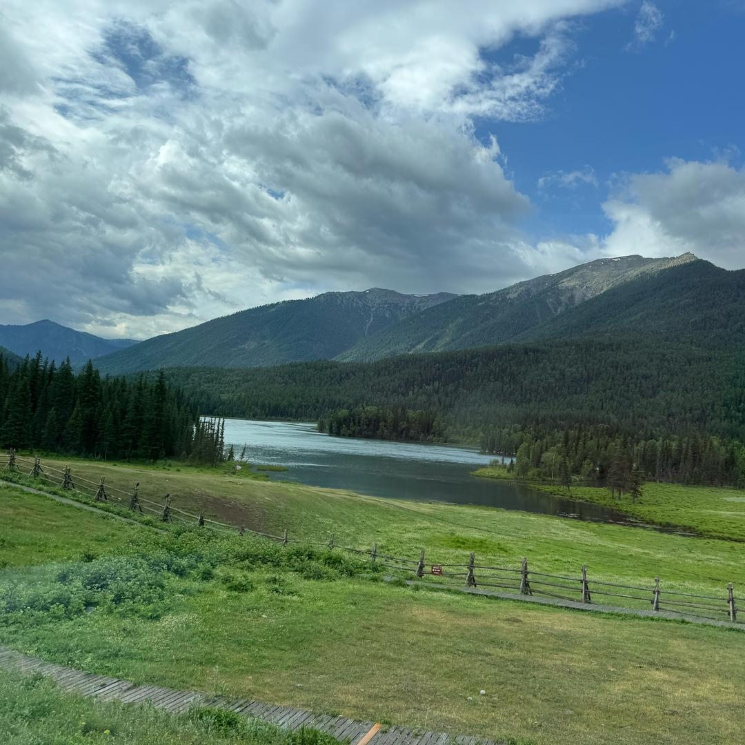 🌻🌻W Y🍒🍒🍒