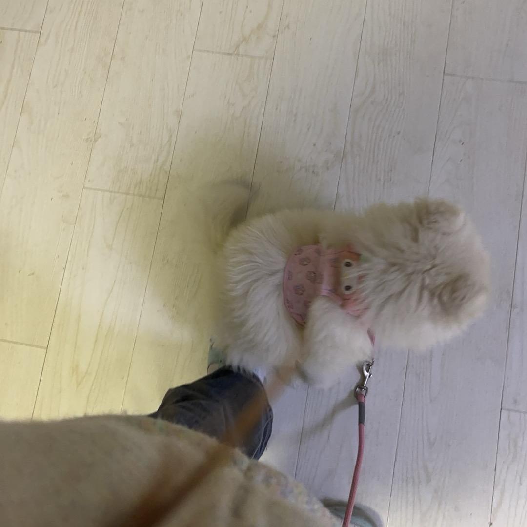 陈小小