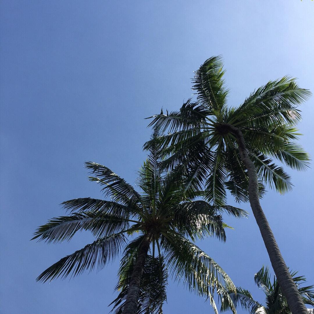 小米