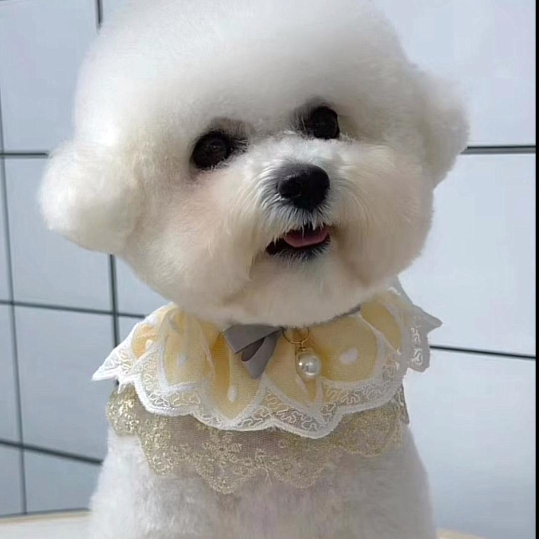 暧心