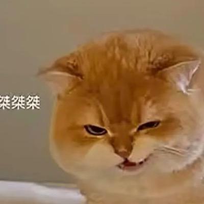 孫傑TY