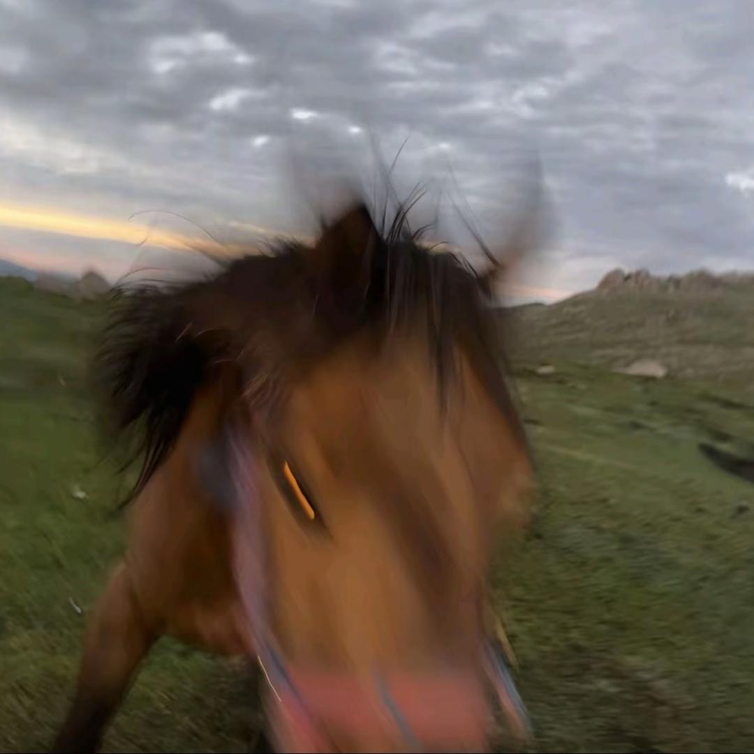 和陈可聊天会过敏