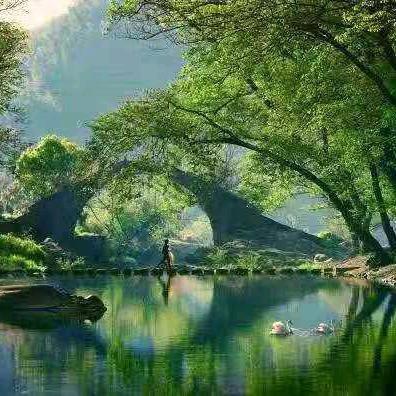 青龙居
