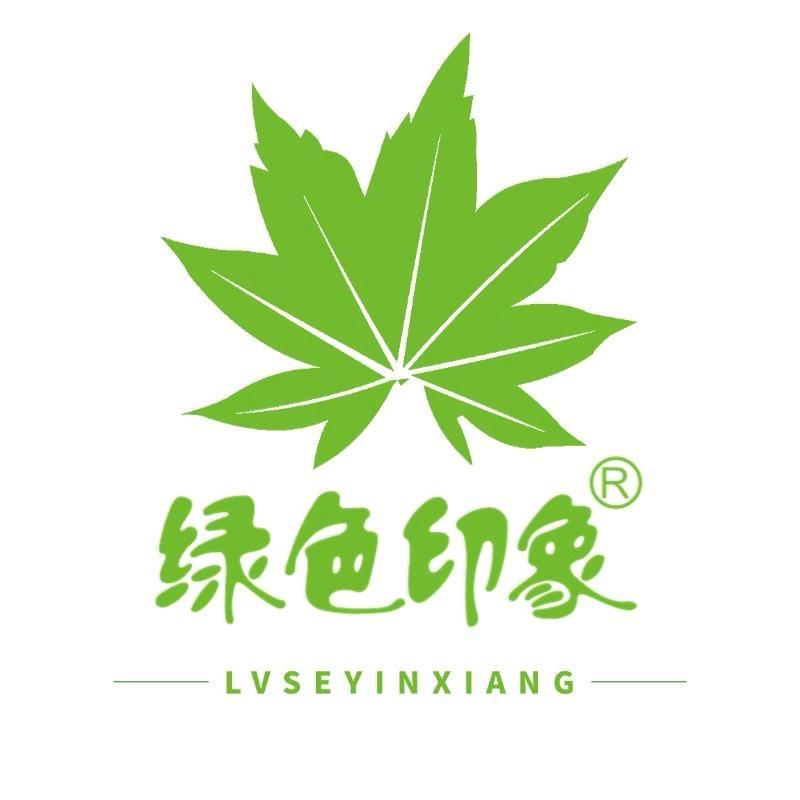 贵州环保袋源头工厂-绿色印象6453