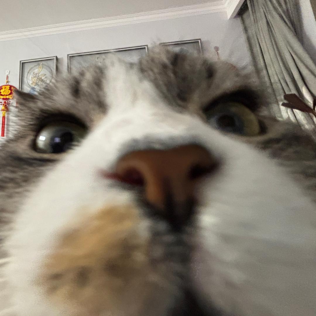 lulusama头像