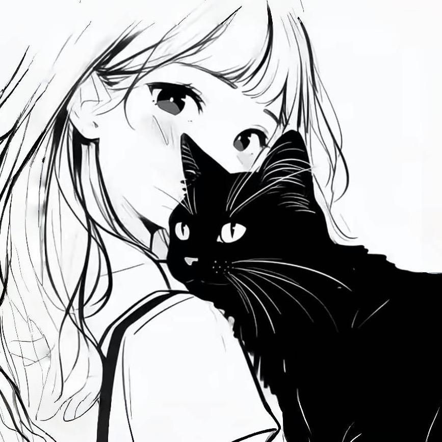 kt猫